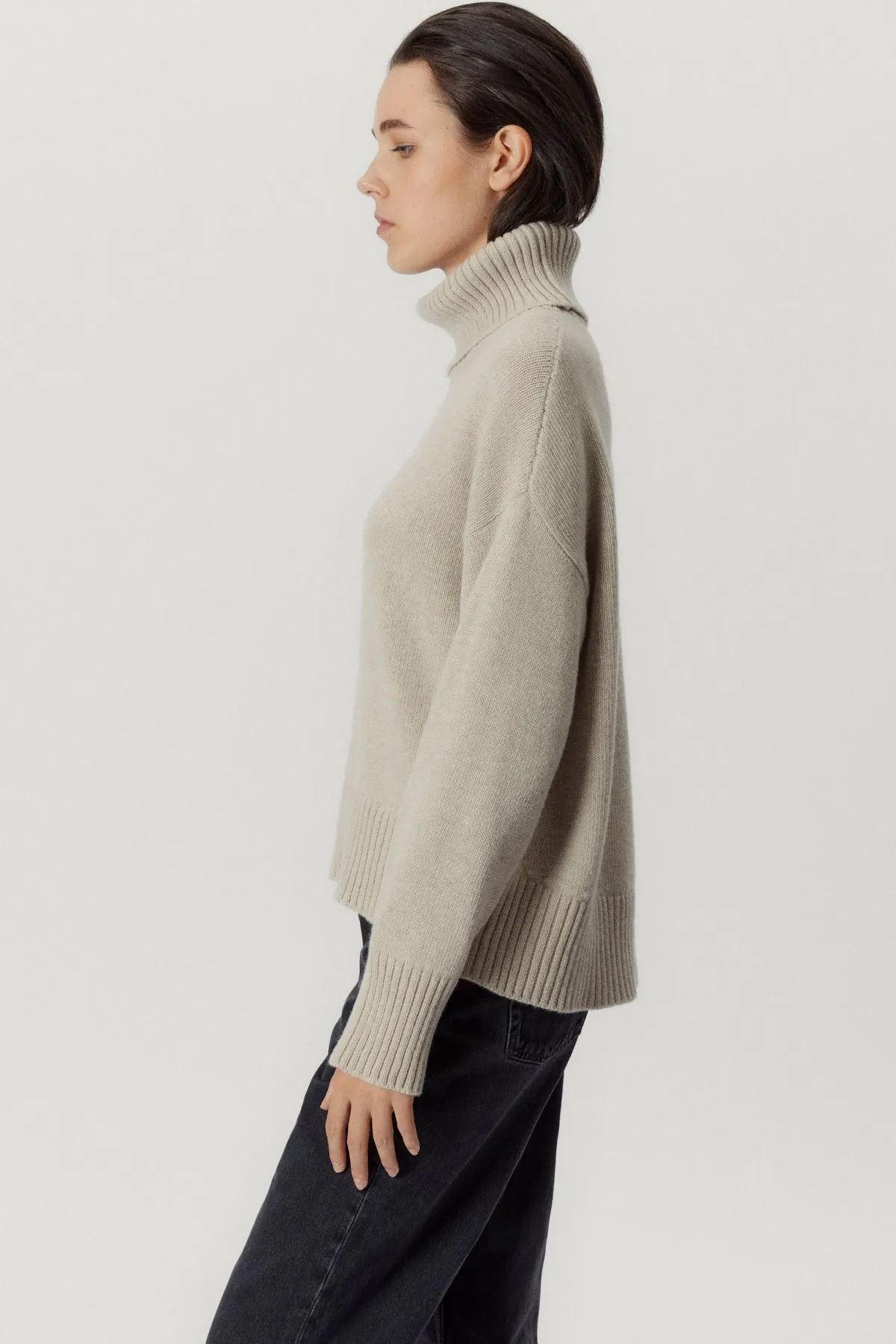 The Woolen Chunky Roll-Neck