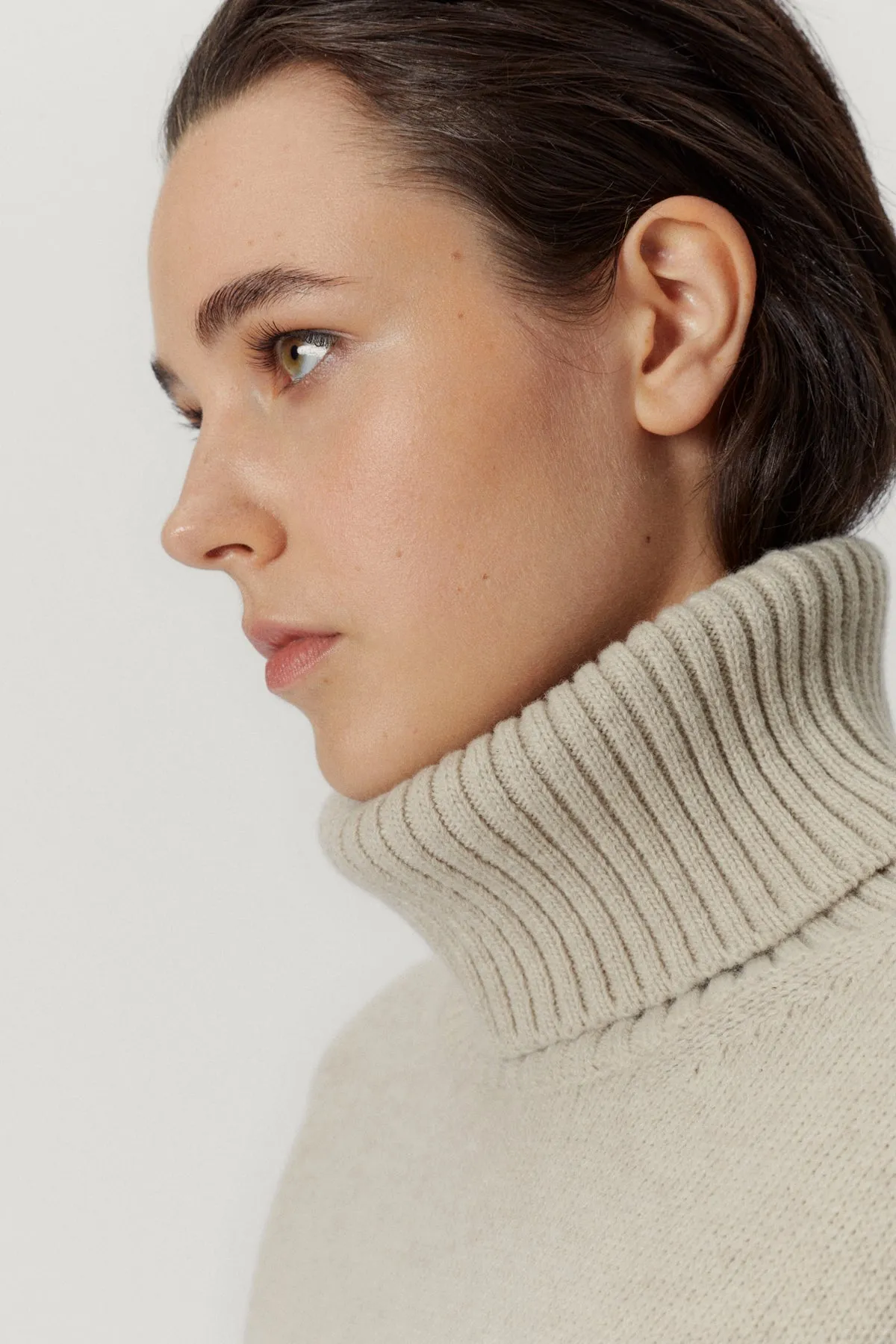 The Woolen Chunky Roll-Neck